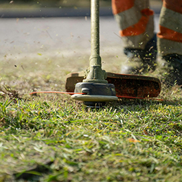 Lawn & Gardening